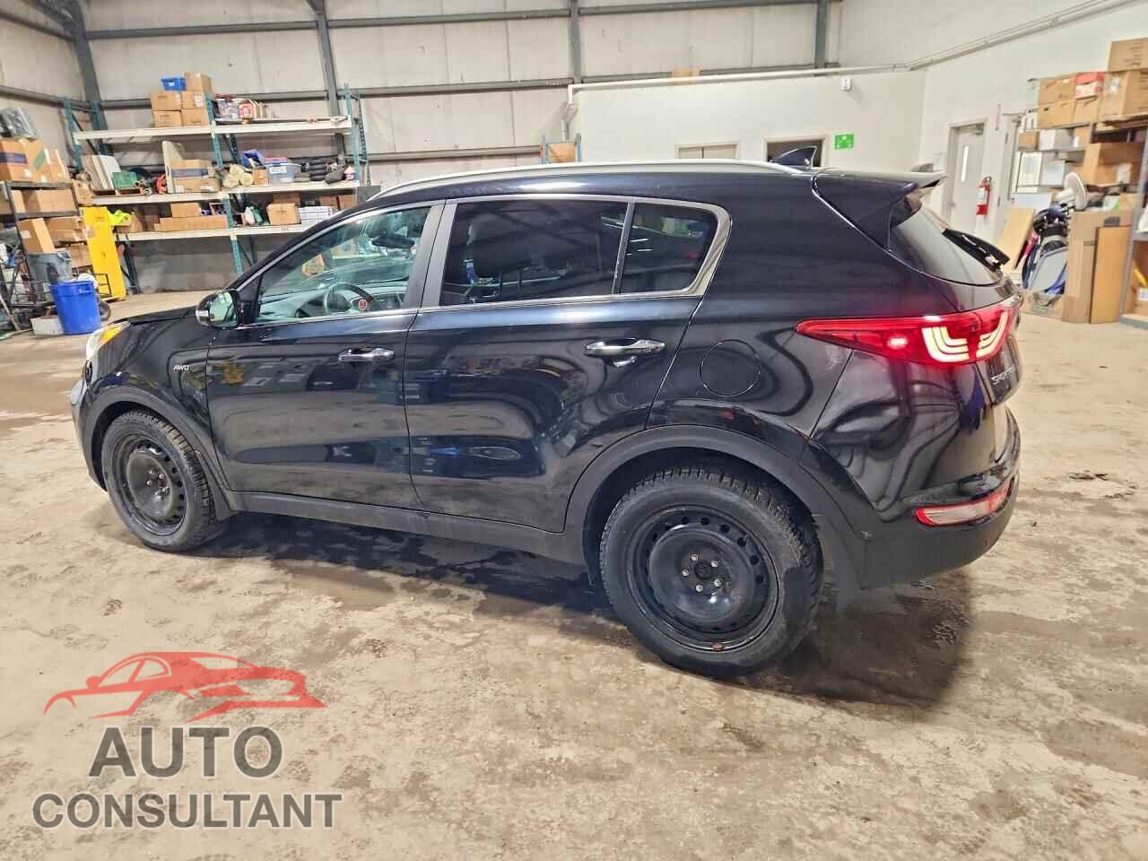 KIA SPORTAGE 2017 - KNDPNCAC7H7201178