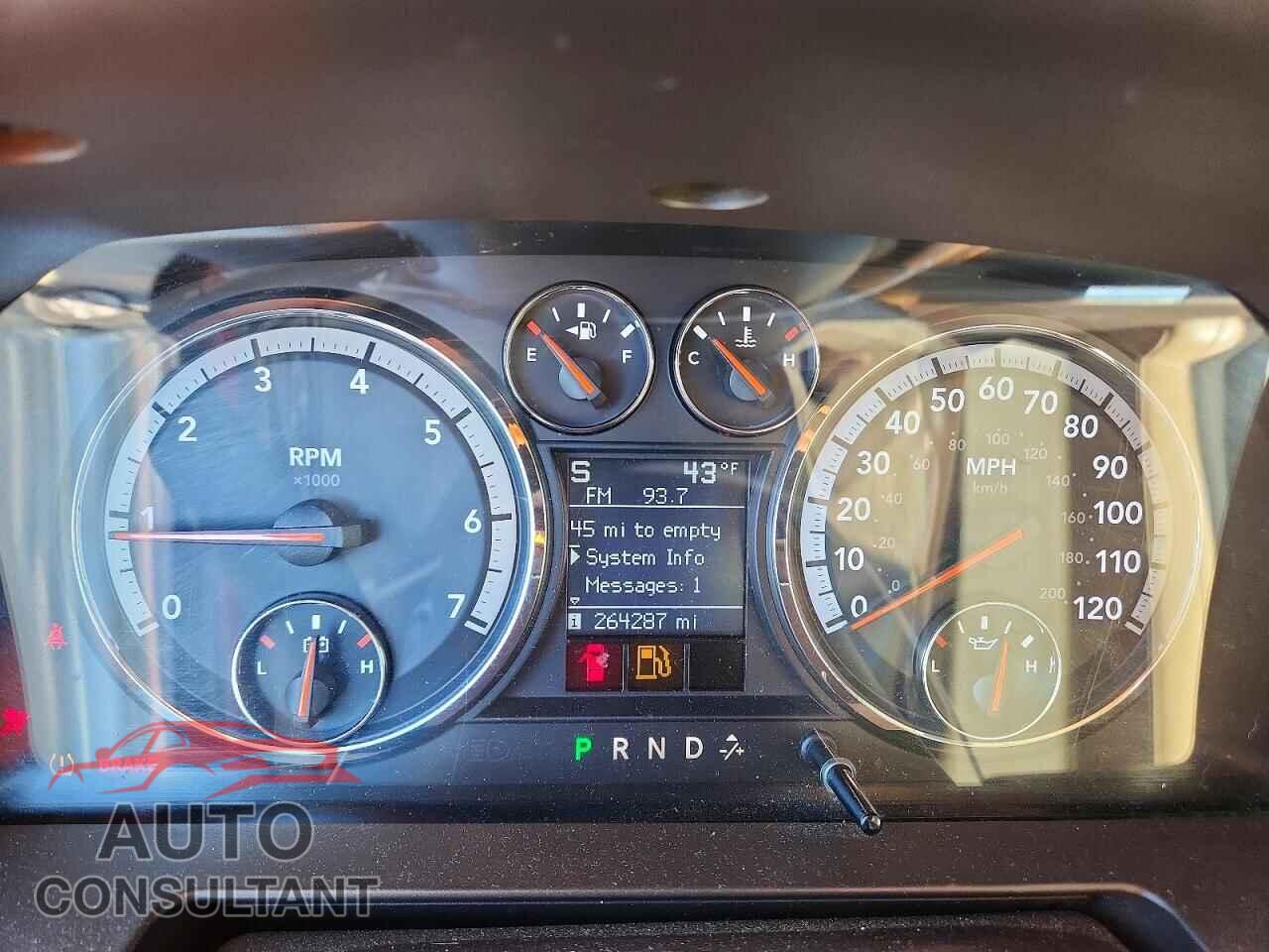 DODGE RAM 1500 2009 - 1D3HB13T09S710971