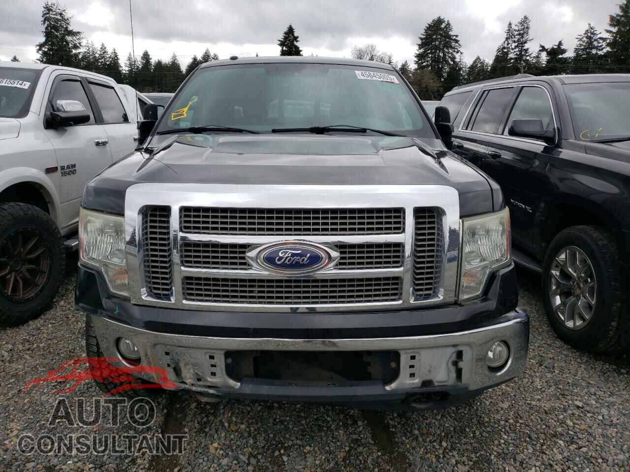 FORD F-150 2010 - 1FTFW1EV6AFC04609