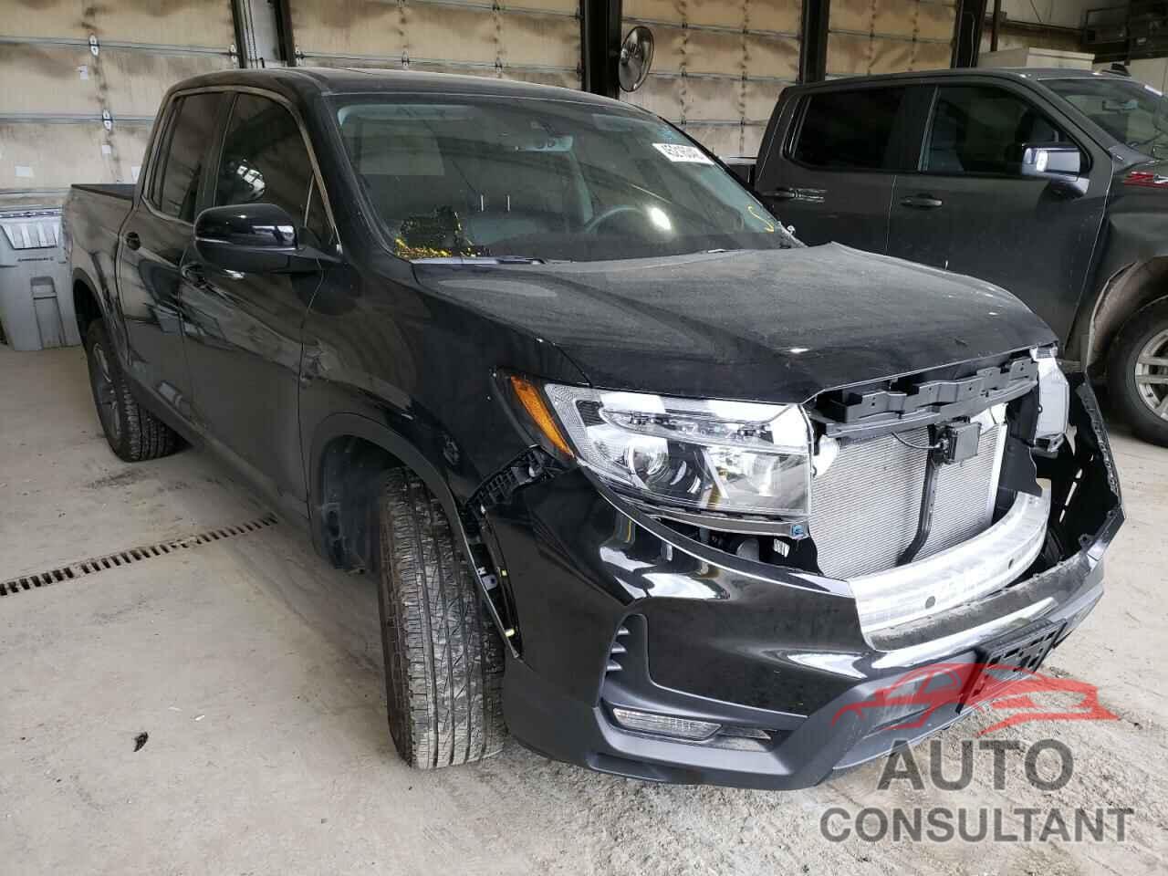 HONDA RIDGELINE 2021 - 5FPYK3F52MB006043