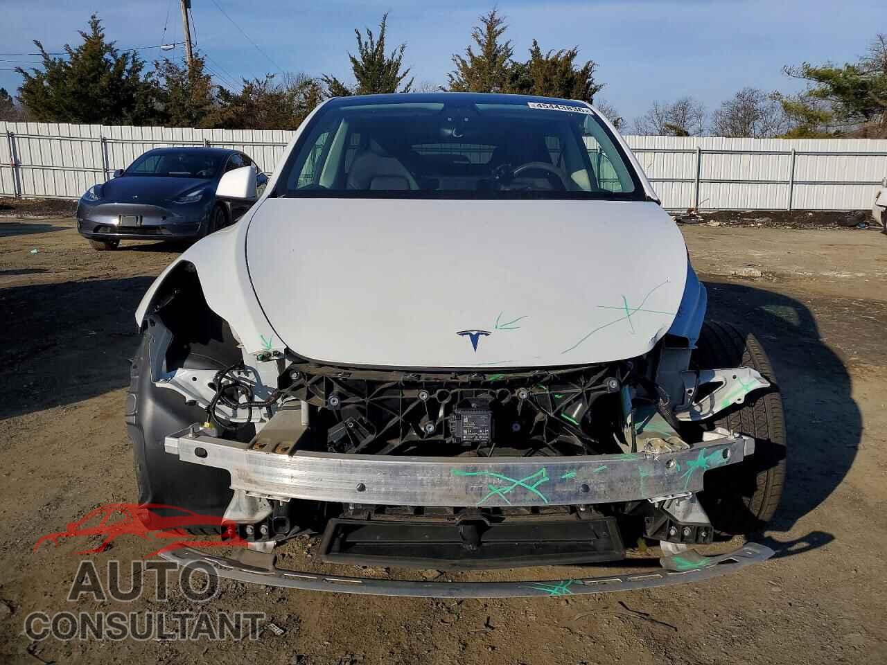 TESLA MODEL Y 2021 - 5YJYGAEE0MF145541