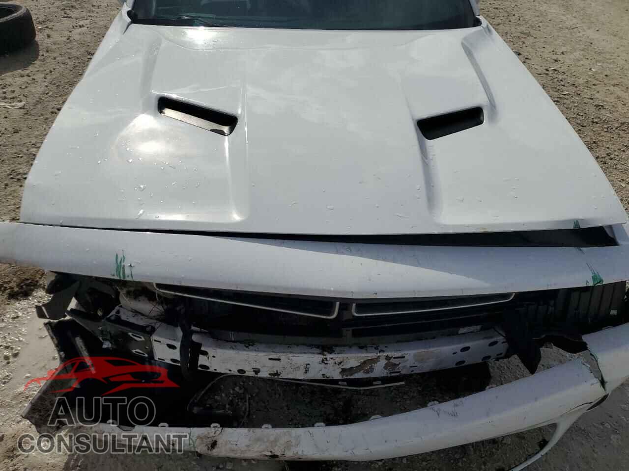 DODGE CHALLENGER 2019 - 2C3CDZAG0KH587157