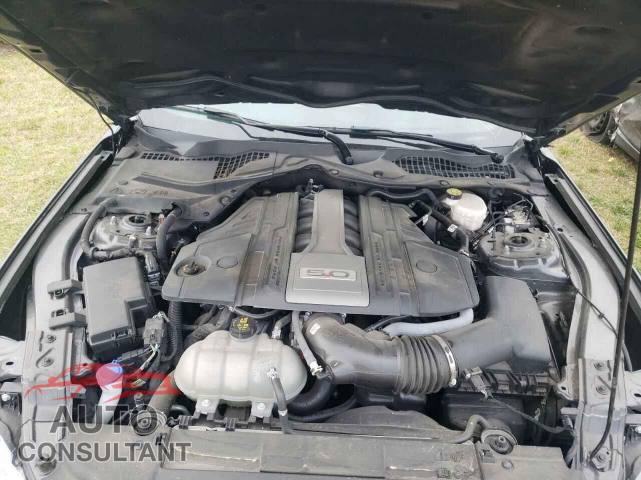 FORD MUSTANG 2020 - 1FA6P8CF3L5136219