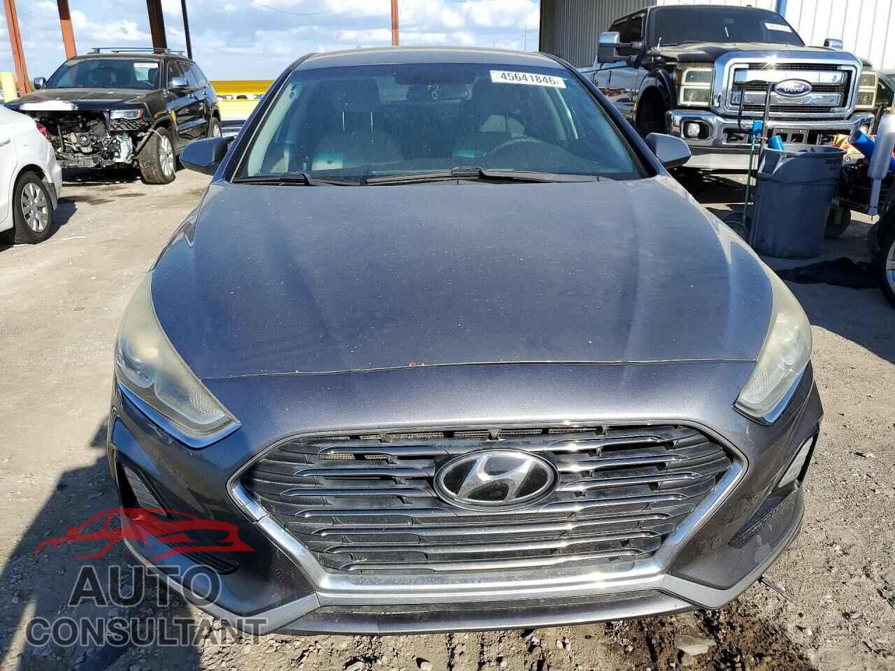 HYUNDAI SONATA 2019 - 5NPE24AFXKH741224
