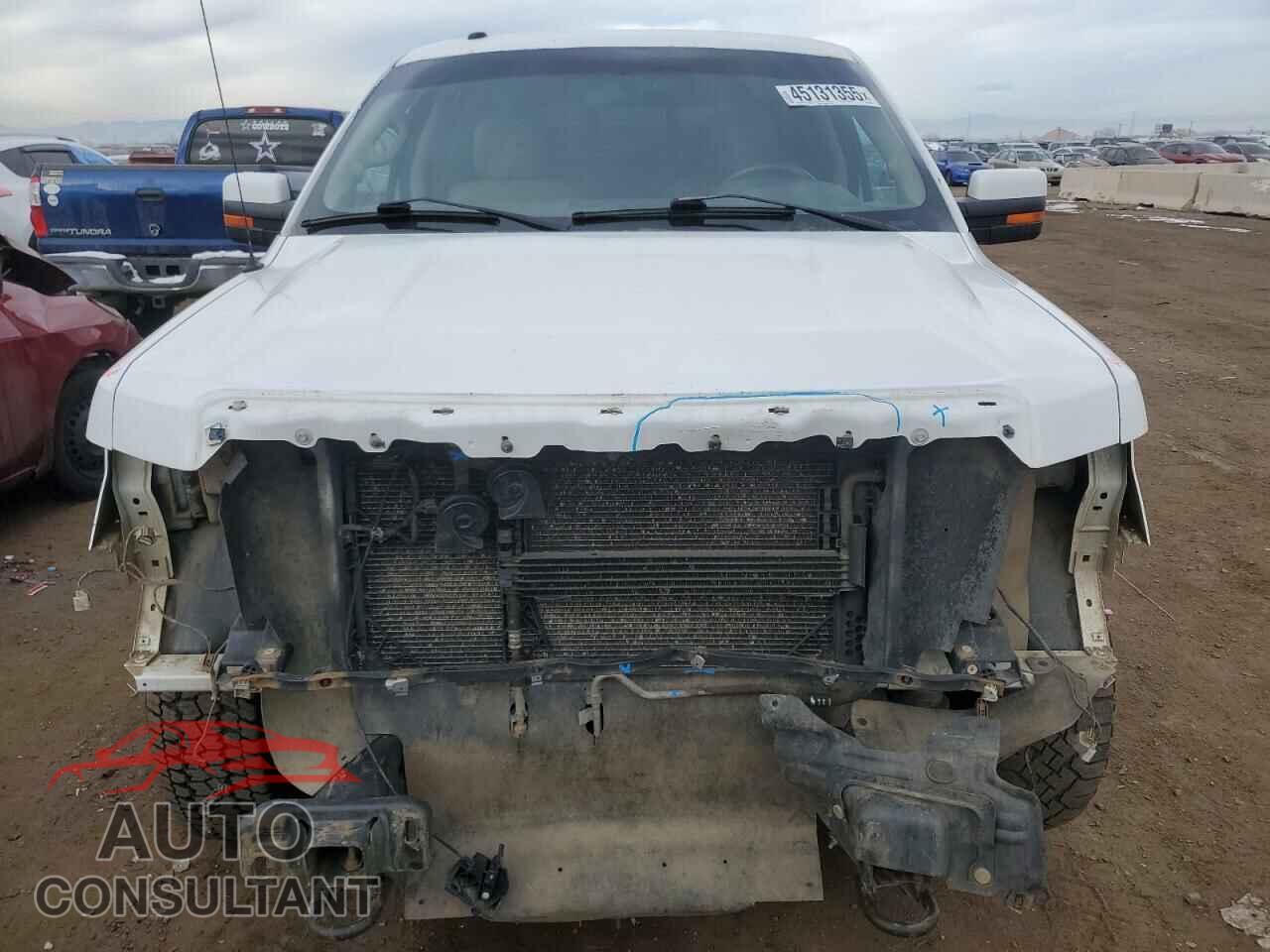 FORD F-150 2009 - 1FTPW14V59KC91878