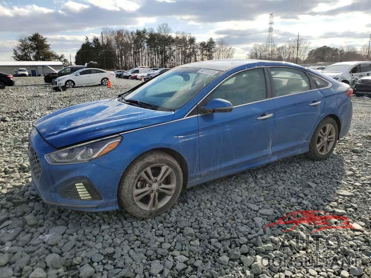 HYUNDAI SONATA 2019 - 5NPE34AF2KH754899