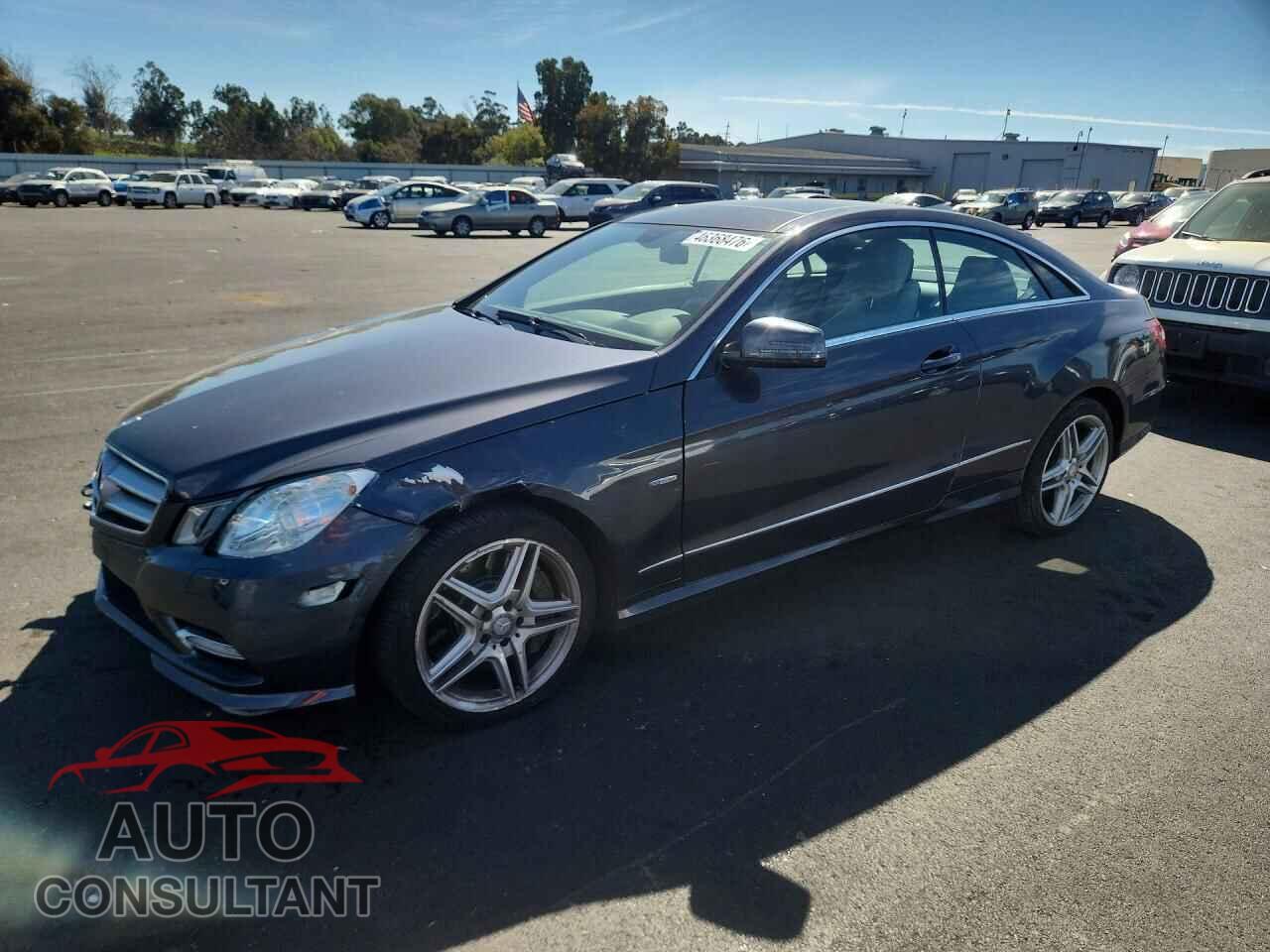 MERCEDES-BENZ E-CLASS 2012 - WDDKJ7DB3CF177143