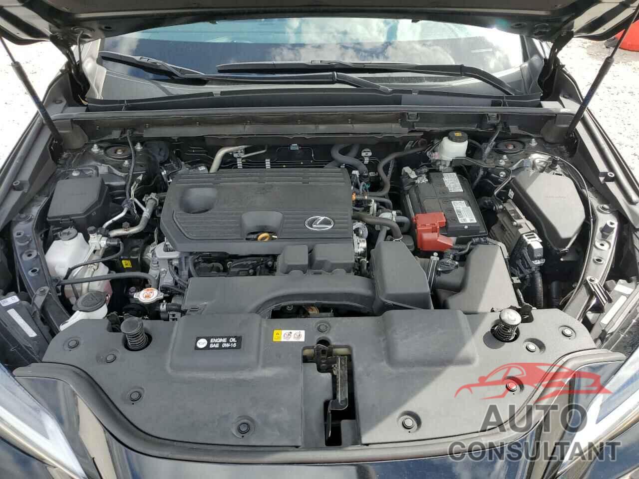 LEXUS NX 250 2022 - 2T2ADCAZ2NC001134