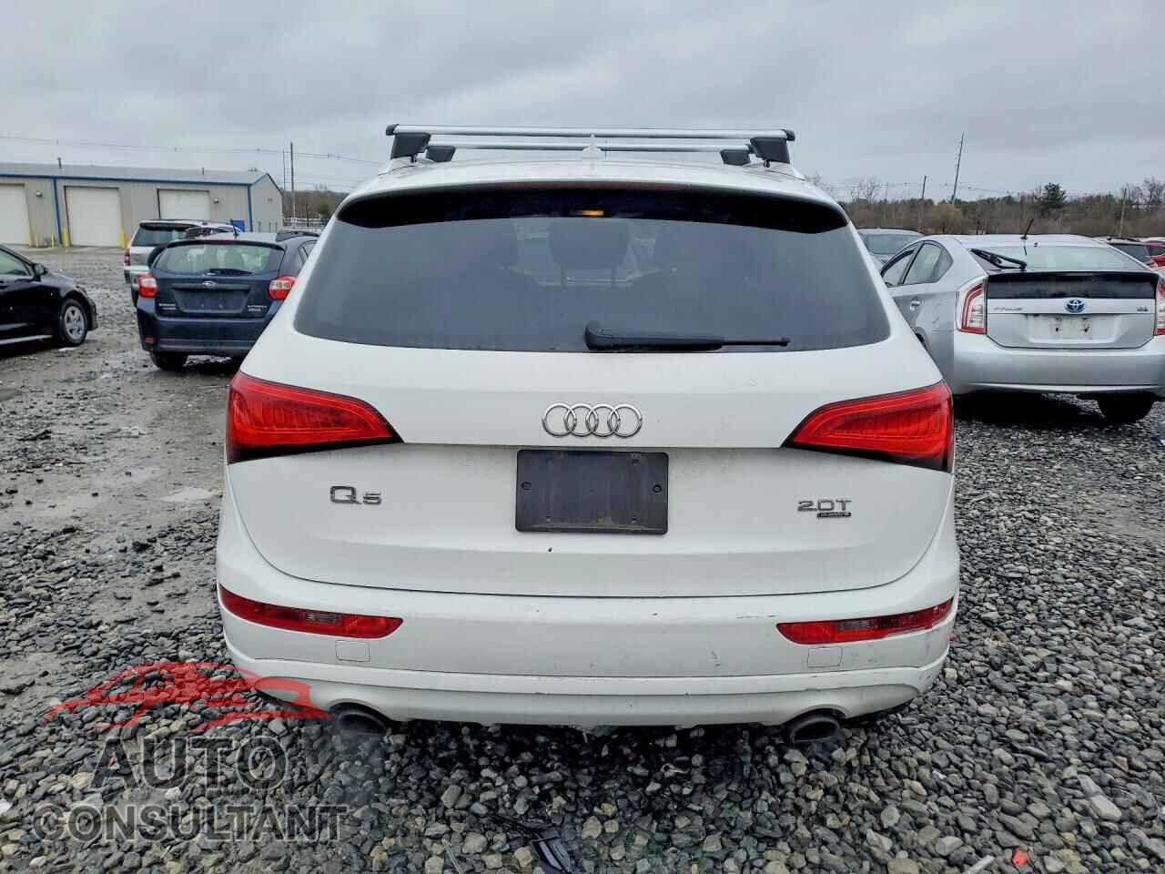 AUDI Q5 2013 - WA1LFAFP2DA018161