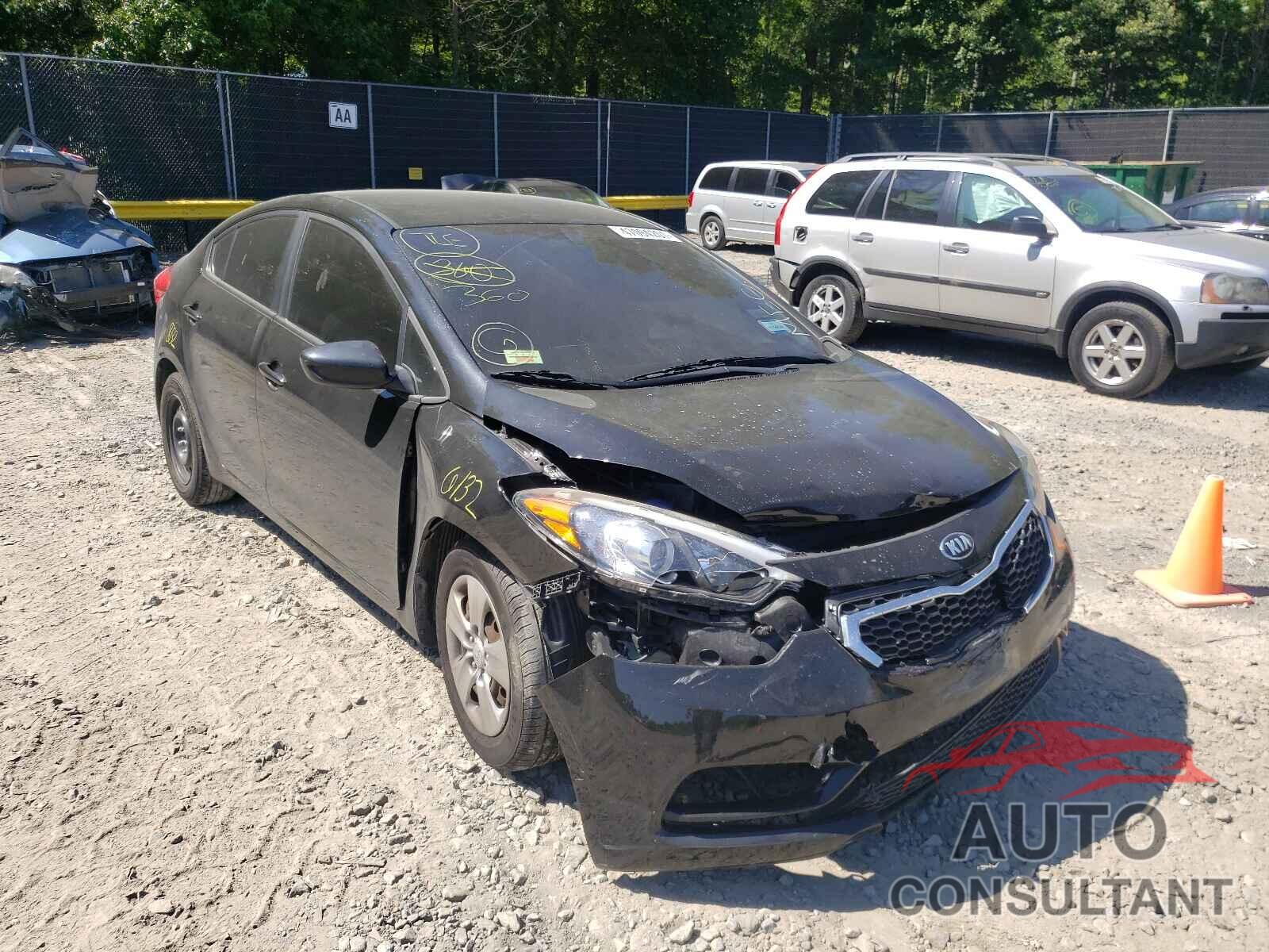 KIA FORTE 2016 - KNAFK4A66G5540056