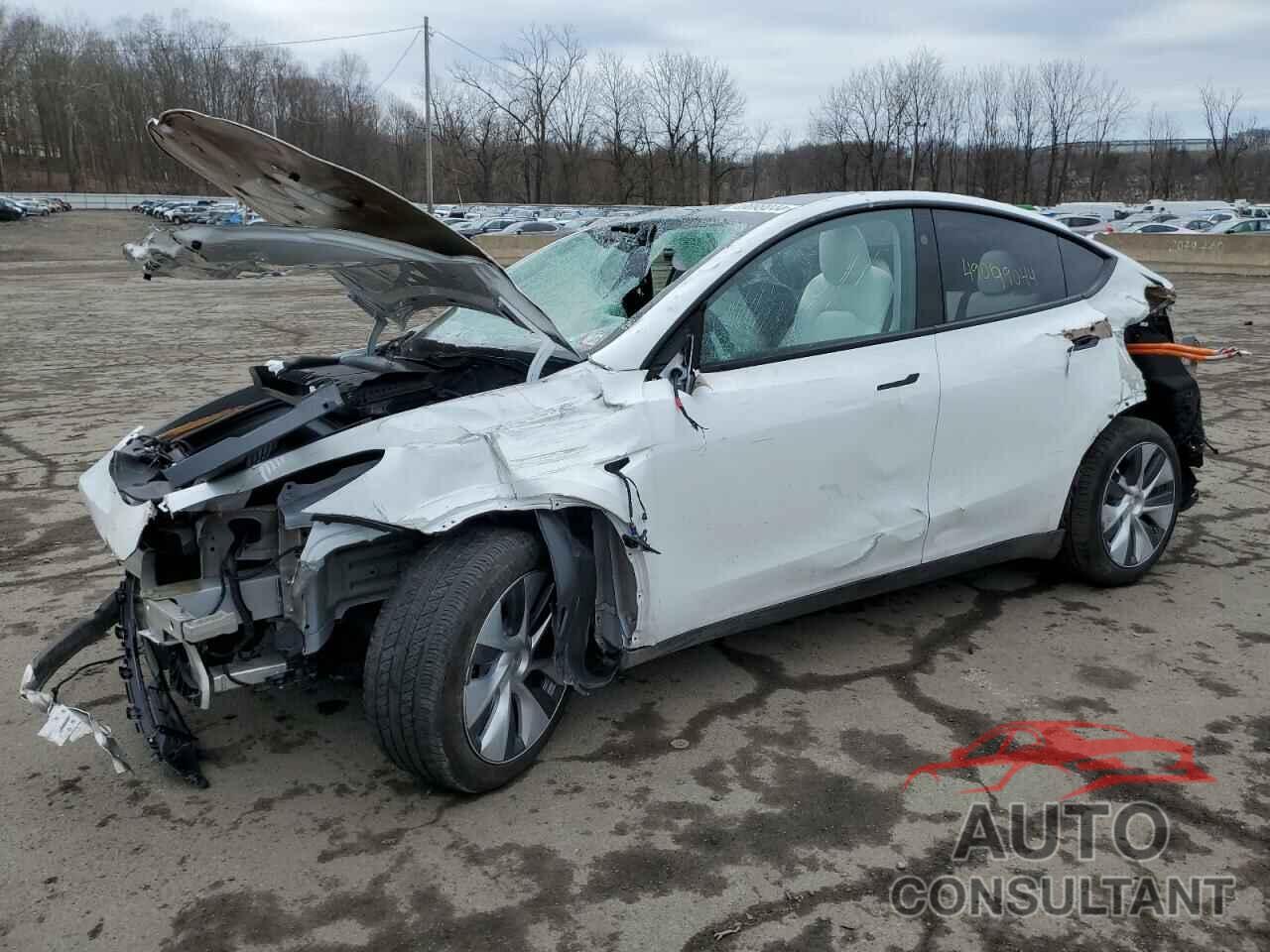 TESLA MODEL Y 2023 - 7SAYGDEE9PF927829