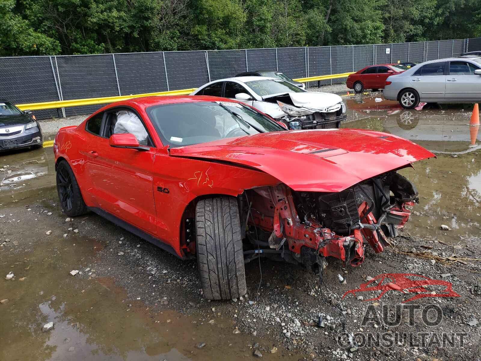 FORD MUSTANG 2019 - 1FA6P8CF6K5200915