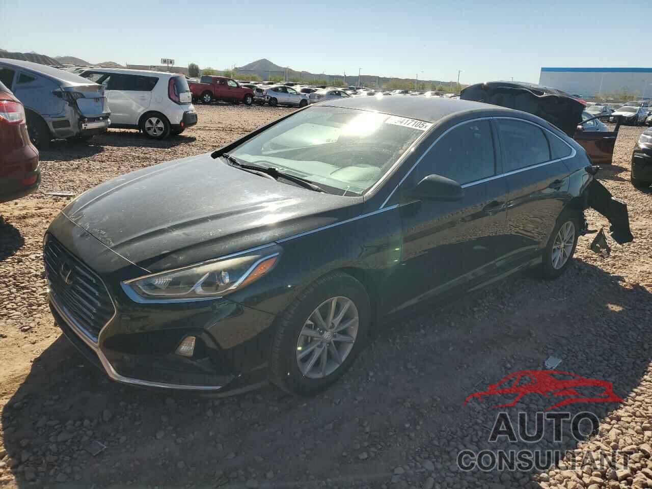 HYUNDAI SONATA 2019 - 5NPE24AF6KH741656