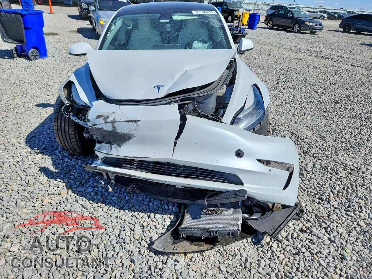 TESLA MODEL 3 2021 - 5YJ3E1EA2MF983003