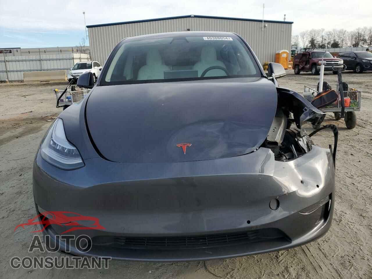 TESLA MODEL Y 2022 - 7SAYGDEE9NF319614