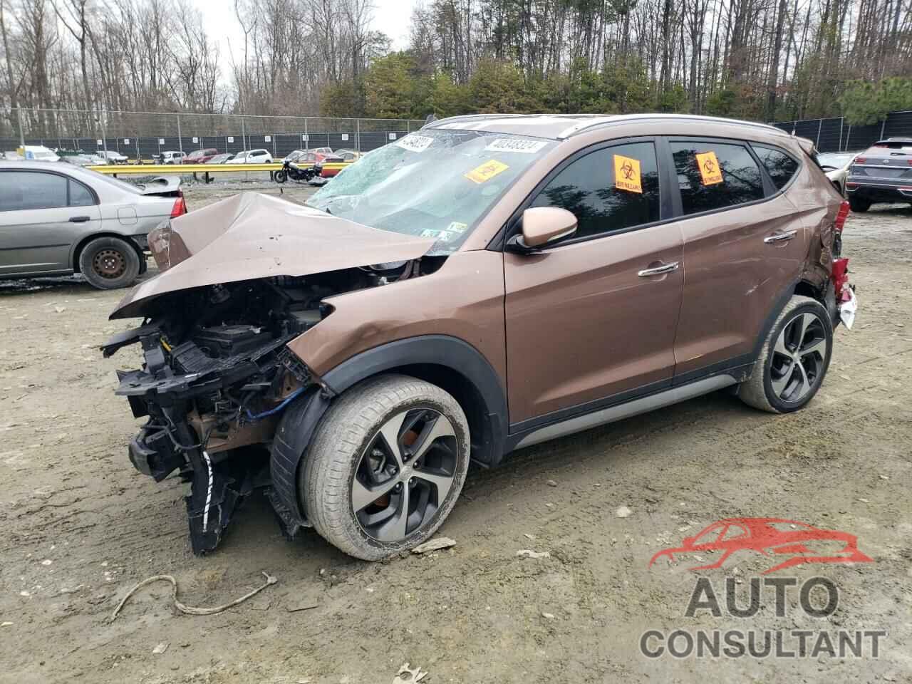 HYUNDAI TUCSON 2017 - KM8J3CA21HU325995