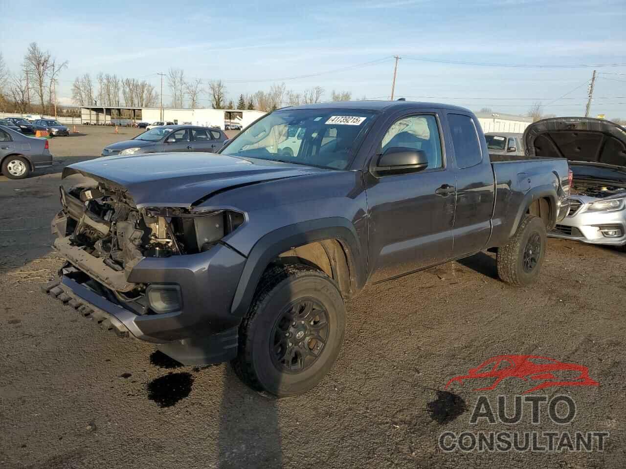 TOYOTA TACOMA 2019 - 5TFRZ5CN8KX073354