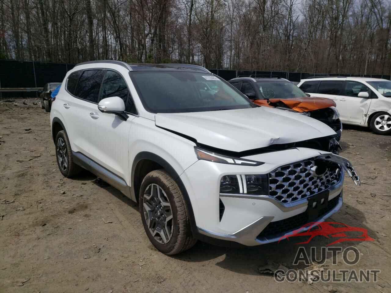 HYUNDAI SANTA FE 2022 - 5NMS4DAL8NH418200