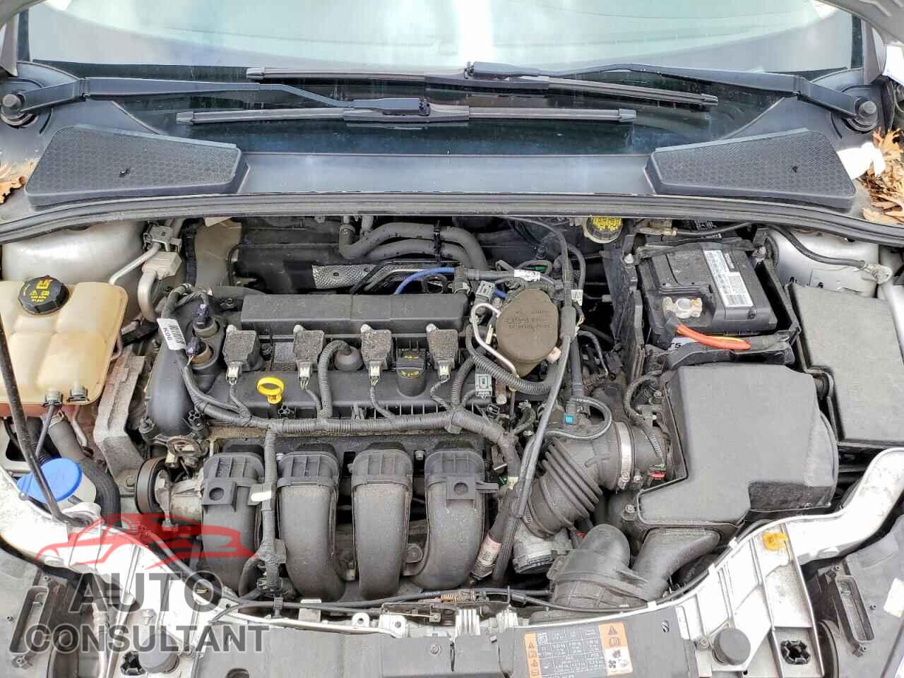 FORD FOCUS 2015 - 1FADP3E28FL355102