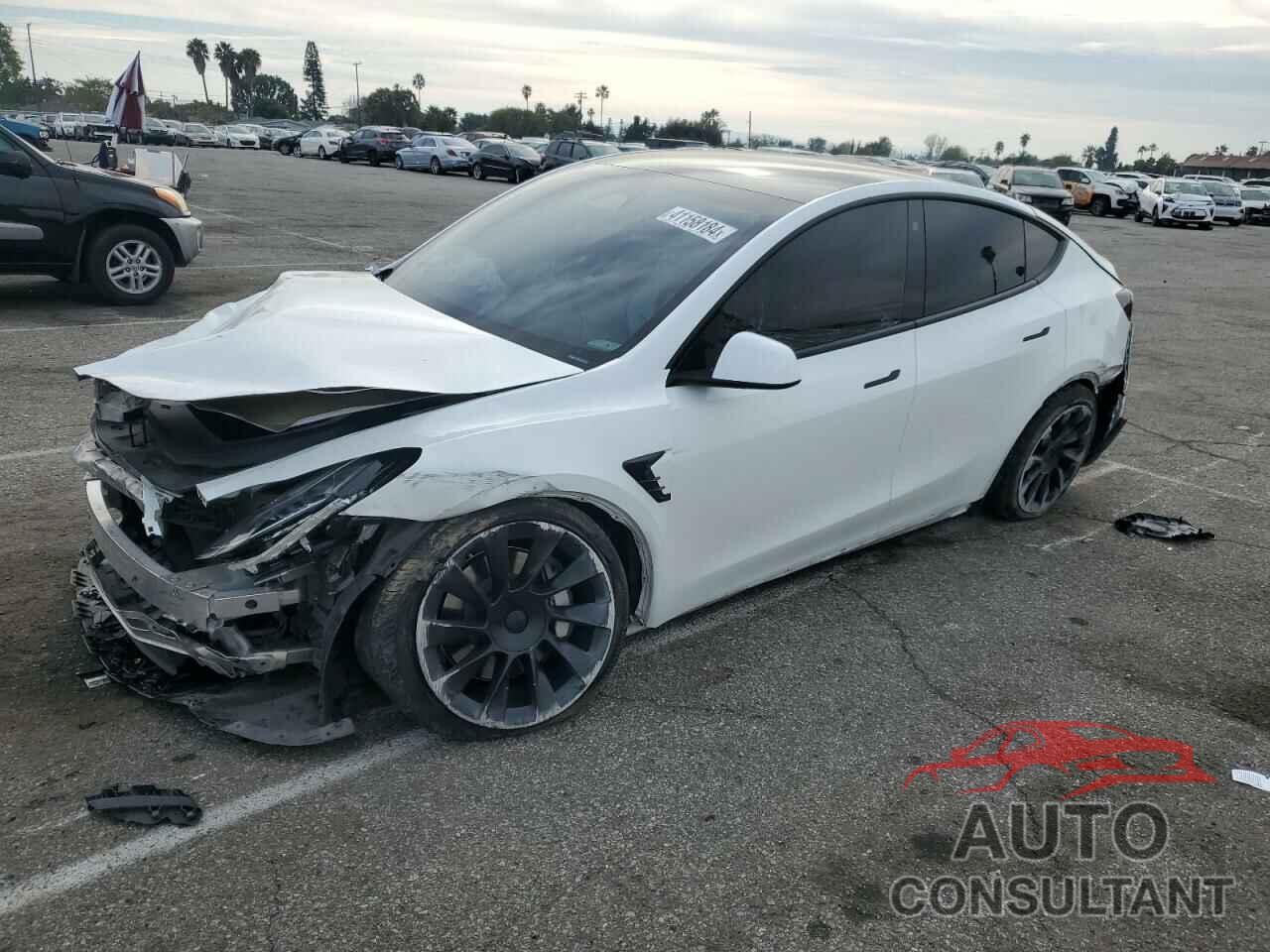 TESLA MODEL Y 2022 - 7SAYGDEE1NF512257