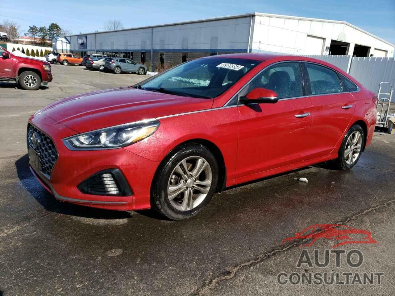 HYUNDAI SONATA 2019 - 5NPE34AF3KH805620