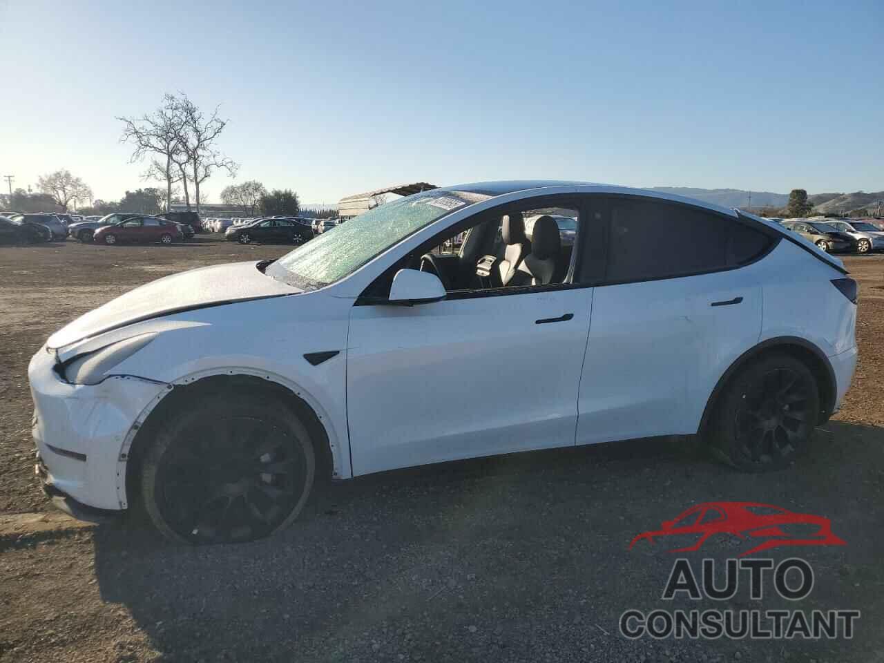 TESLA MODEL Y 2022 - 7SAYGDEE6NF330165