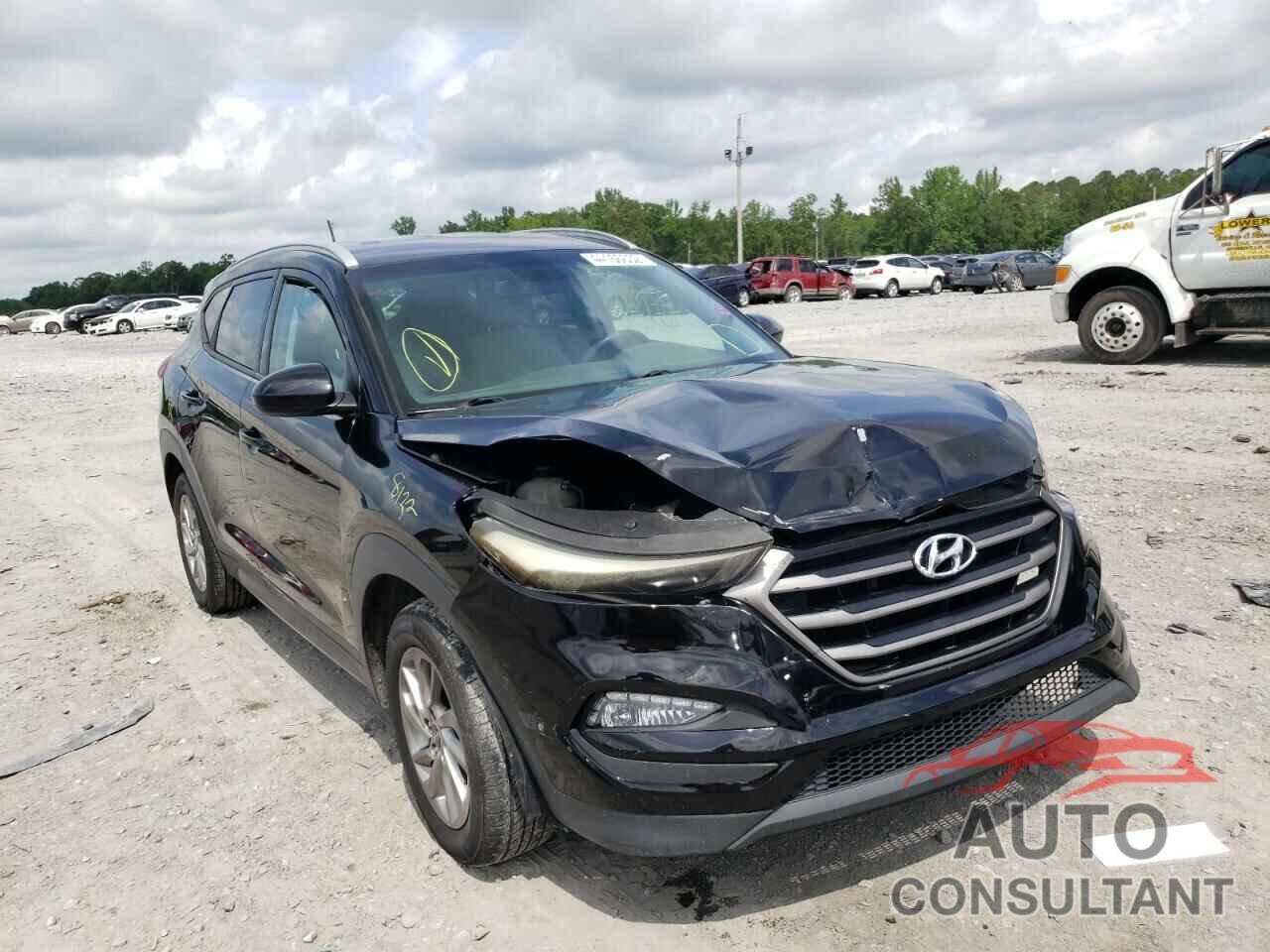 HYUNDAI TUCSON 2016 - KM8J33A45GU117859