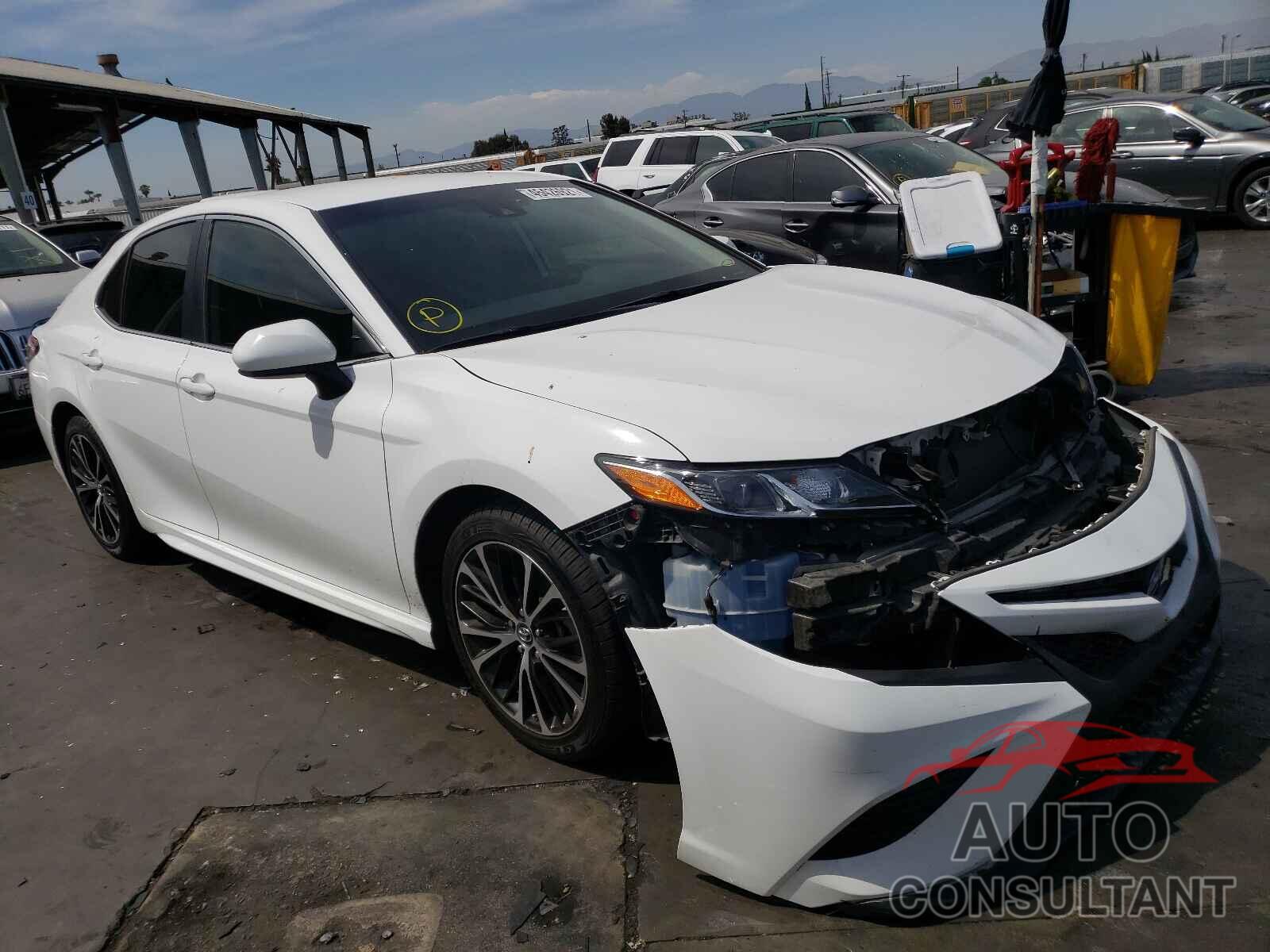 TOYOTA CAMRY 2019 - 4T1B11HKXKU204376