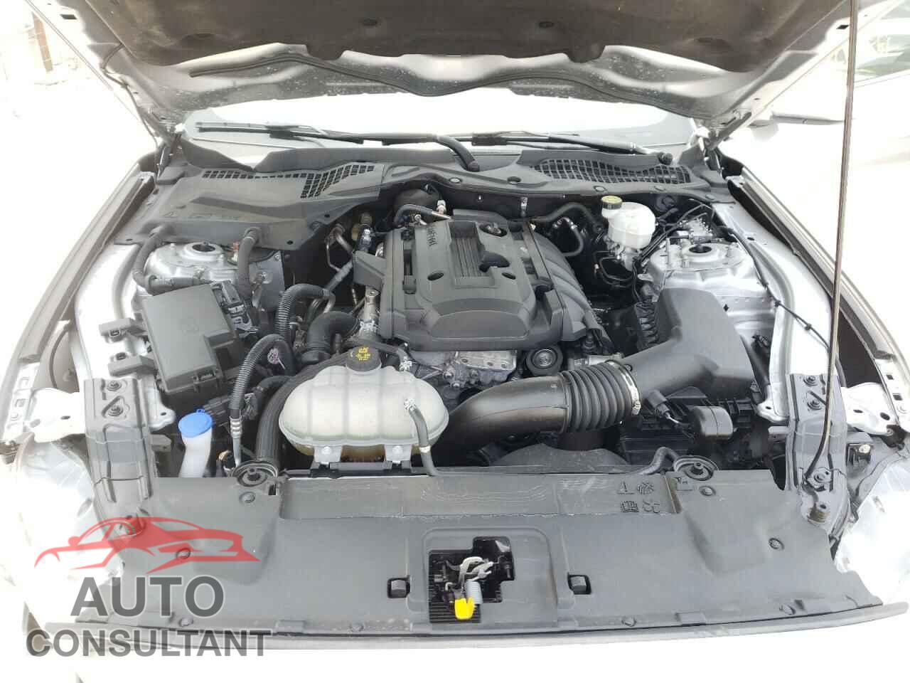 FORD MUSTANG 2020 - 1FA6P8THXL5178677