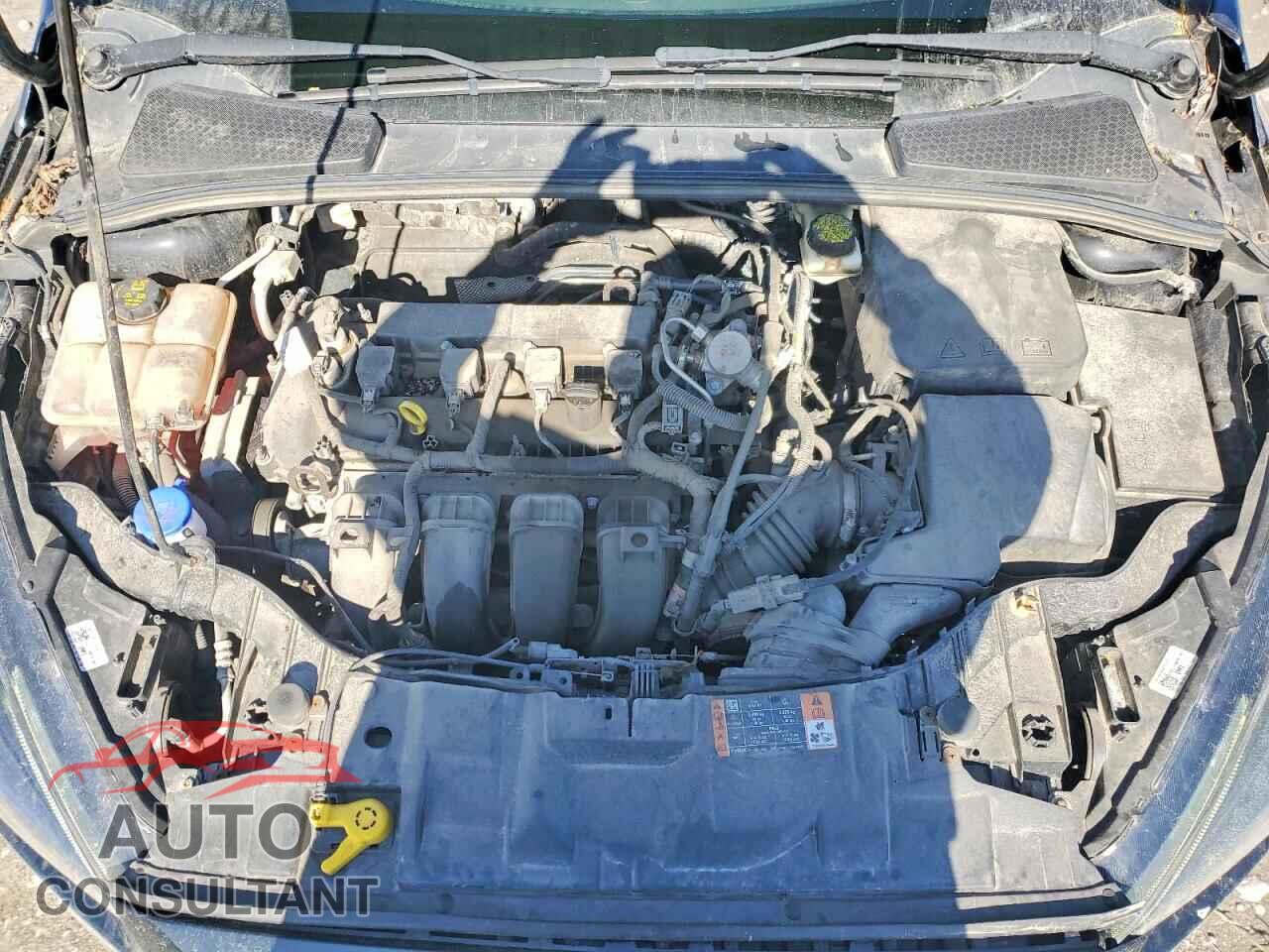 FORD FOCUS 2017 - 1FADP3M28HL252685