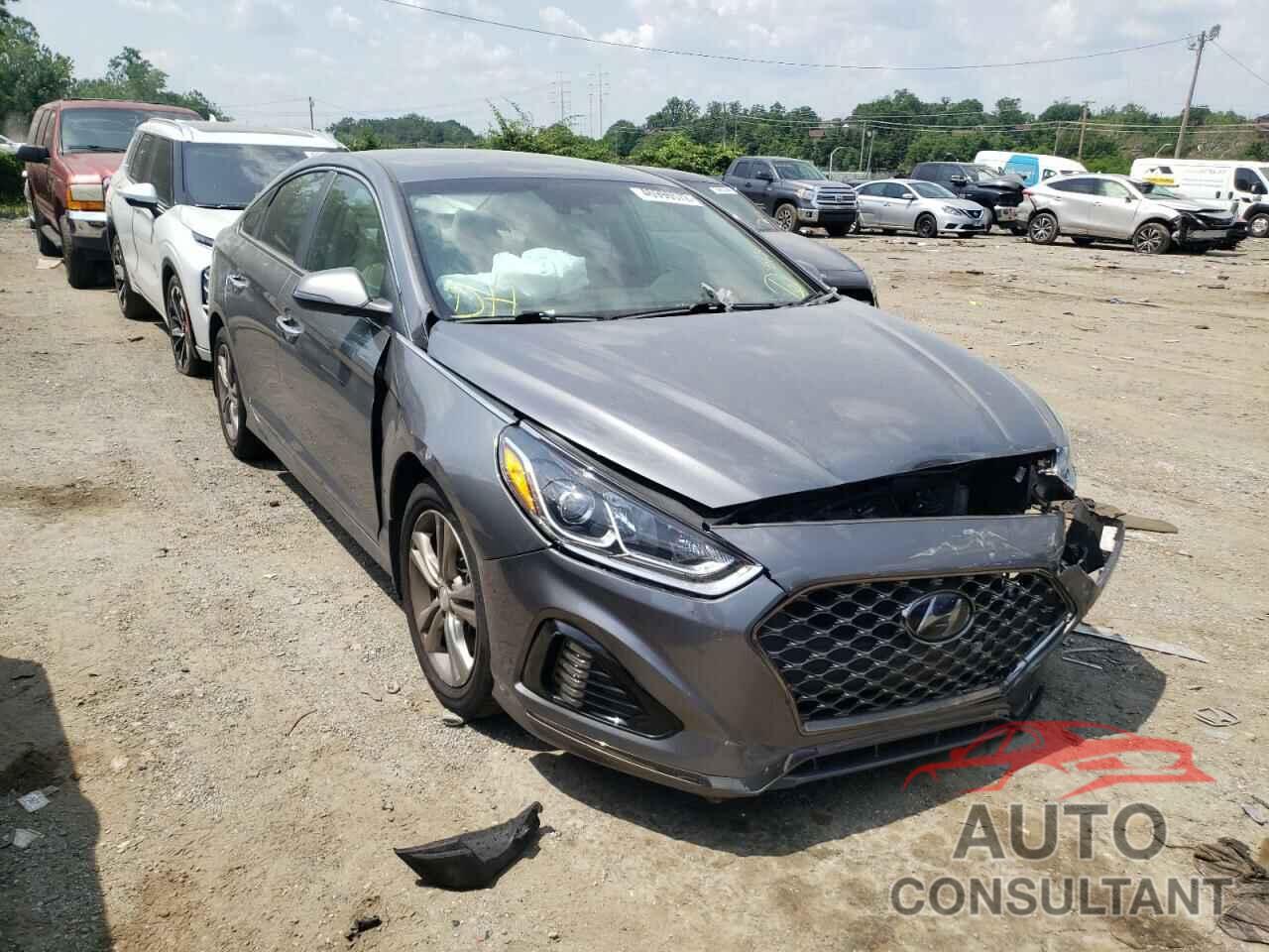 HYUNDAI SONATA 2019 - 5NPE34AF9KH731944