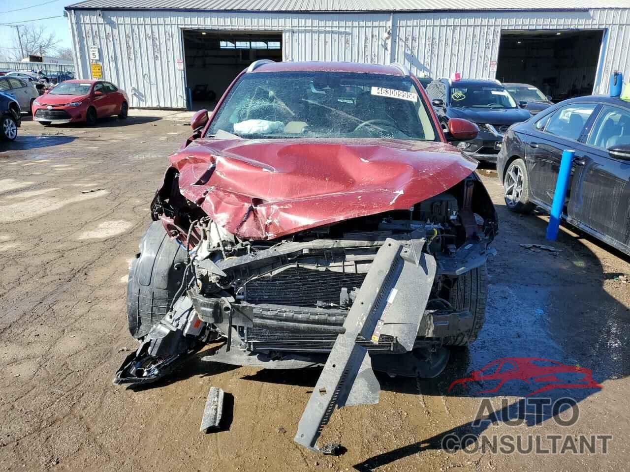 HYUNDAI TUCSON 2019 - KM8J33AL4KU888264