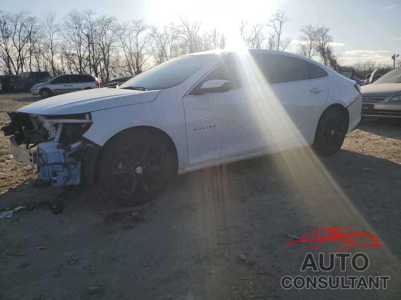 CHEVROLET MALIBU 2021 - 1G1ZD5STXMF008067