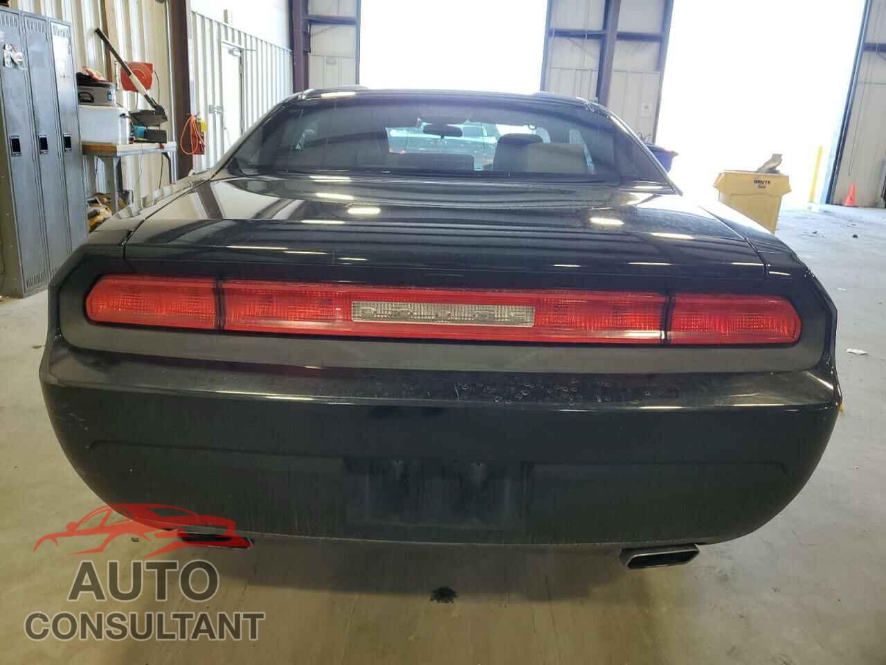 DODGE CHALLENGER 2013 - 2C3CDYAG8DH500800