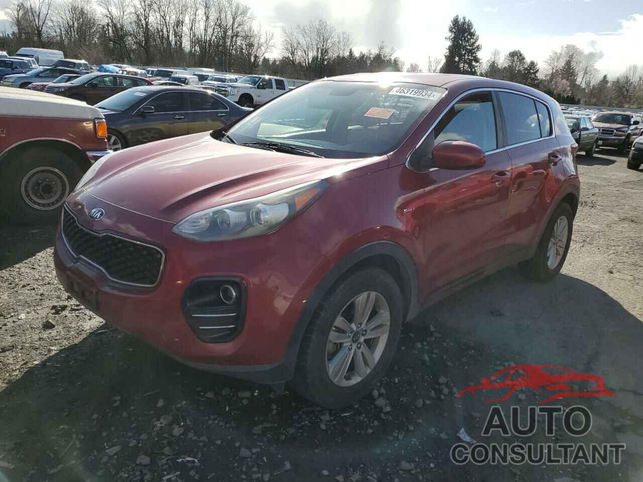 KIA SPORTAGE 2017 - KNDPMCAC8H7138434