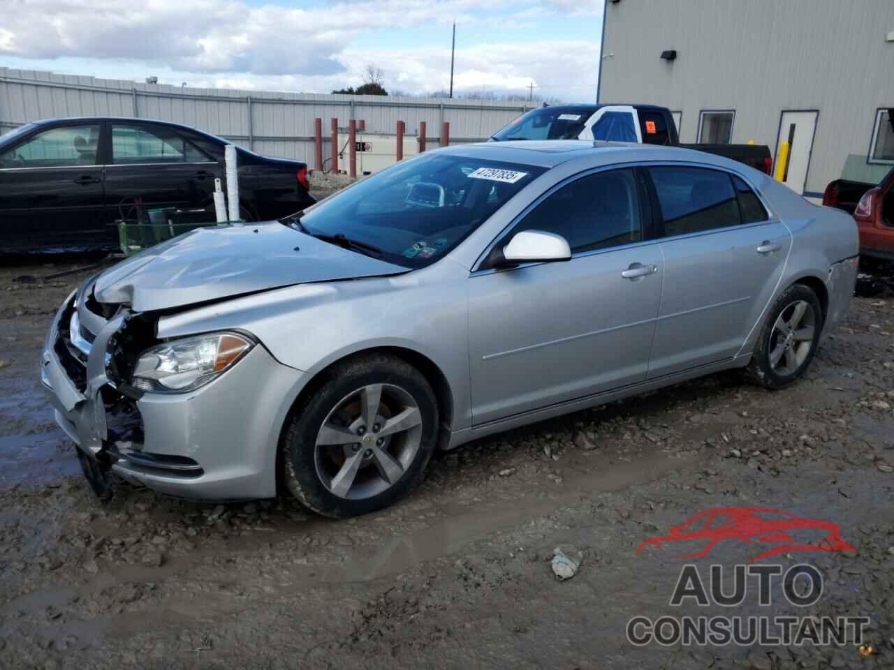 CHEVROLET MALIBU 2011 - 1G1ZC5E1XBF251842