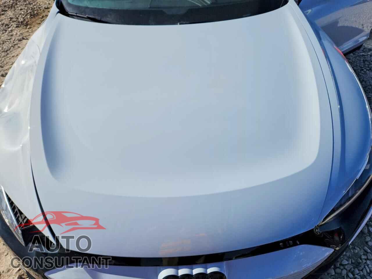AUDI E-TRON GT 2024 - WAUCJBFW7R7002041