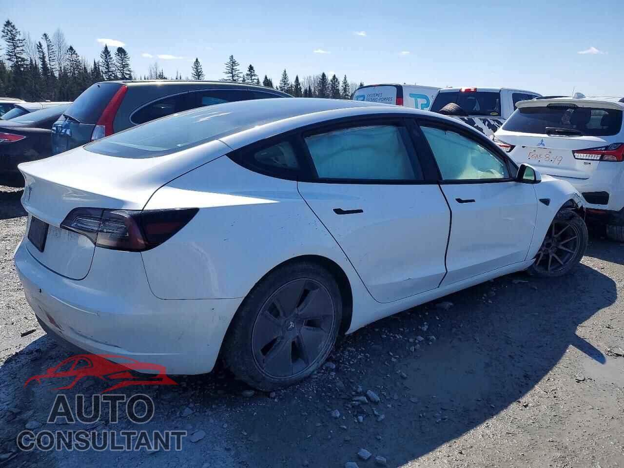 TESLA MODEL 3 2021 - 5YJ3E1EA2MF082861