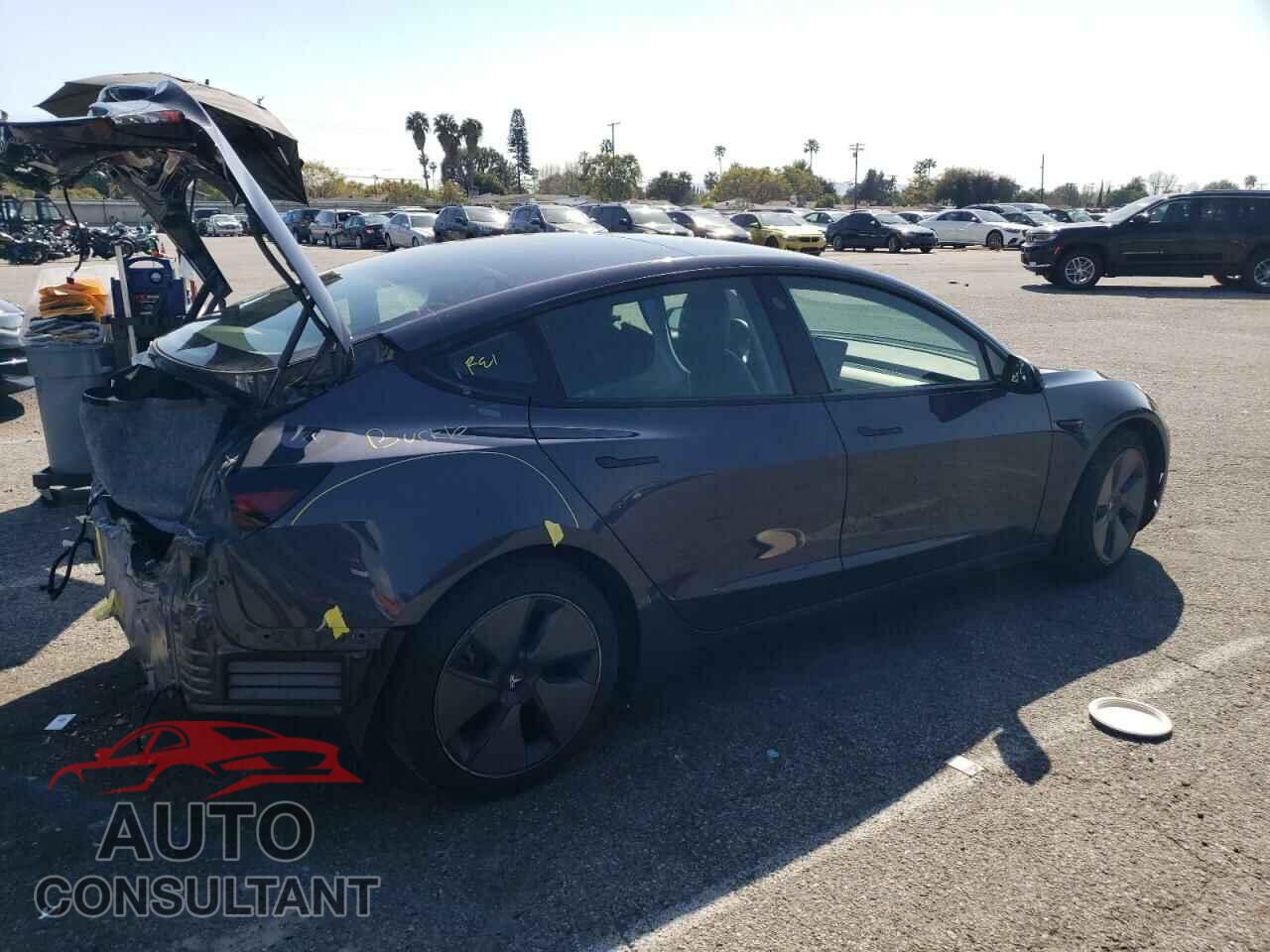 TESLA MODEL 3 2021 - 5YJ3E1EA1MF982098