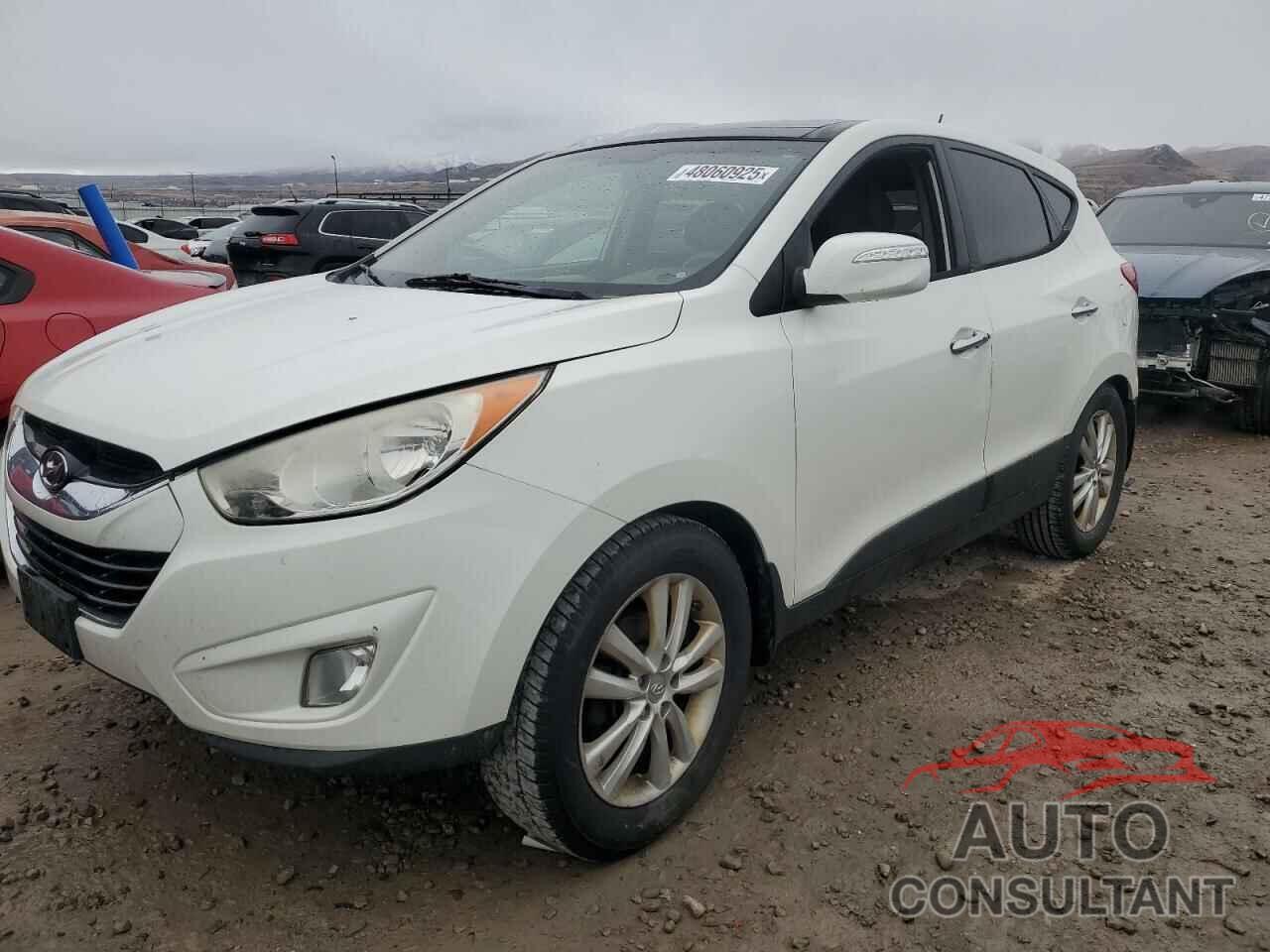 HYUNDAI TUCSON 2013 - KM8JUCAC7DU604531