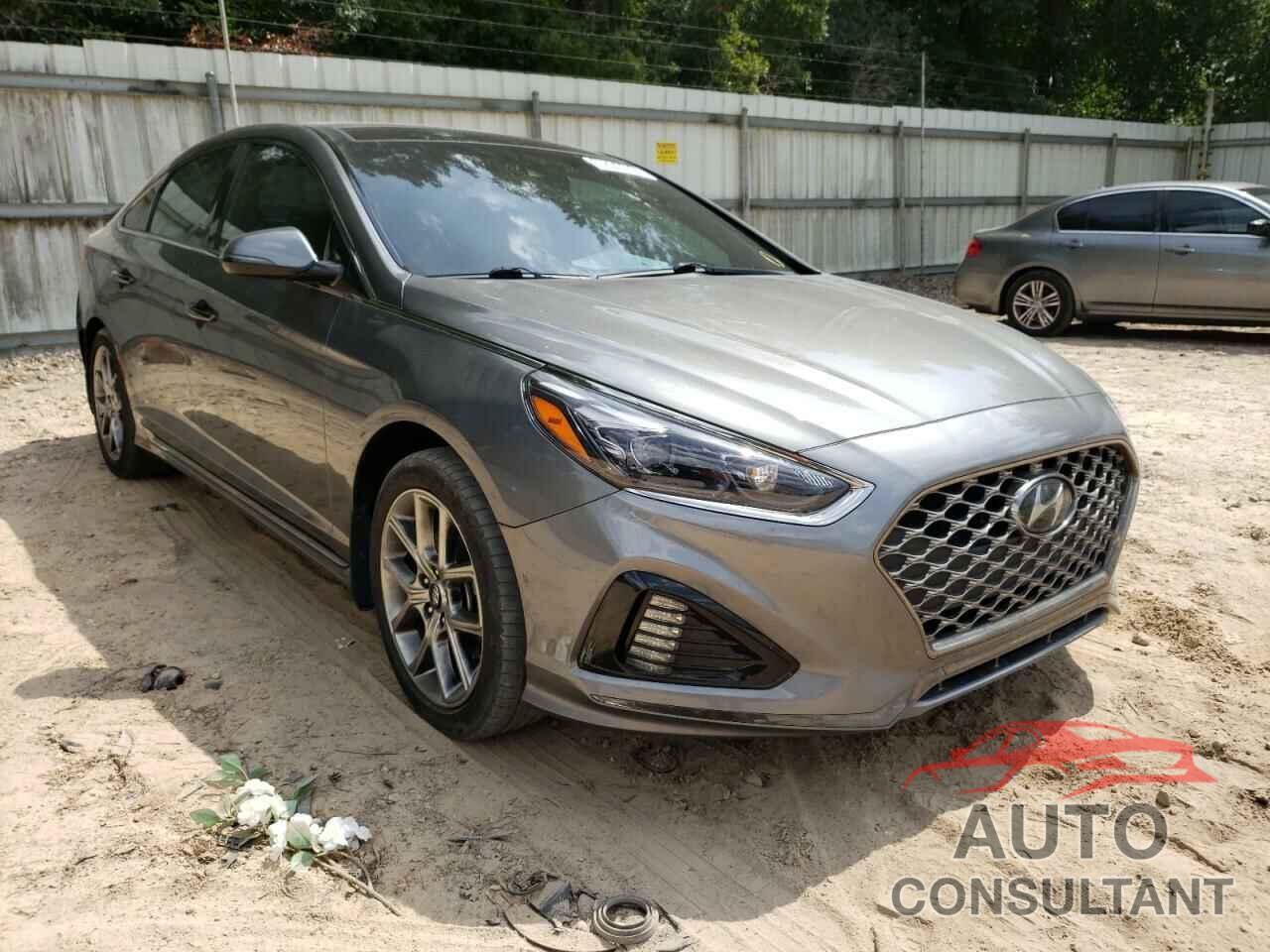 HYUNDAI SONATA 2019 - 5NPE34AB6KH809979