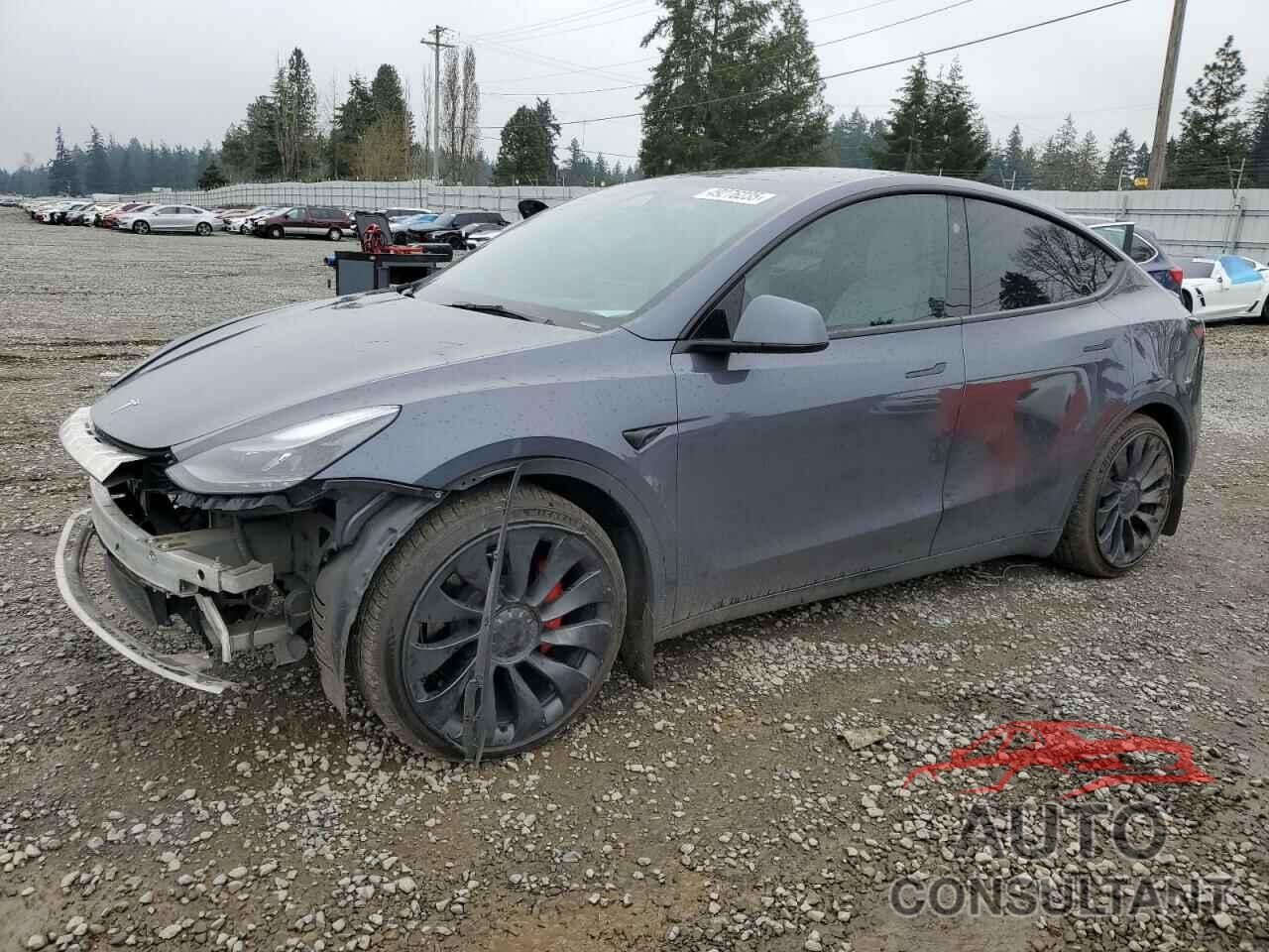 TESLA MODEL Y 2023 - 7SAYGDEF4PF794244