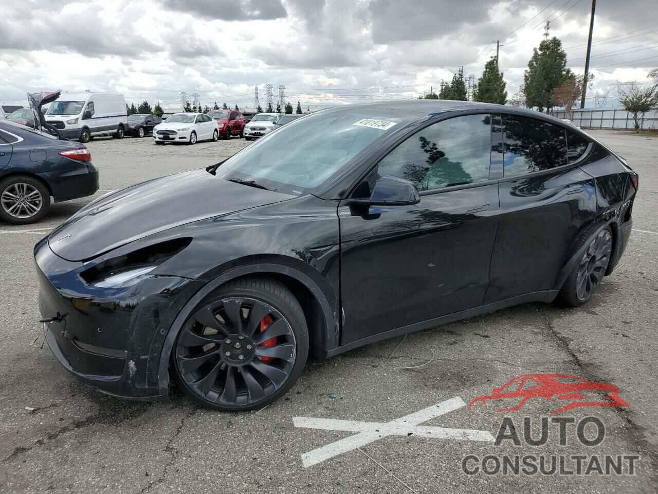 TESLA MODEL Y 2022 - 7SAYGDEF4NF439443