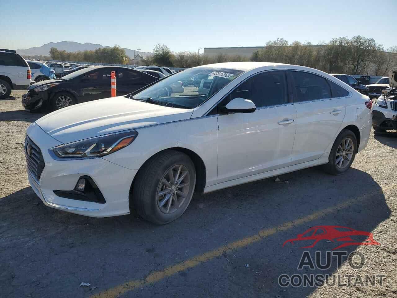 HYUNDAI SONATA 2019 - 5NPE24AF8KH752724