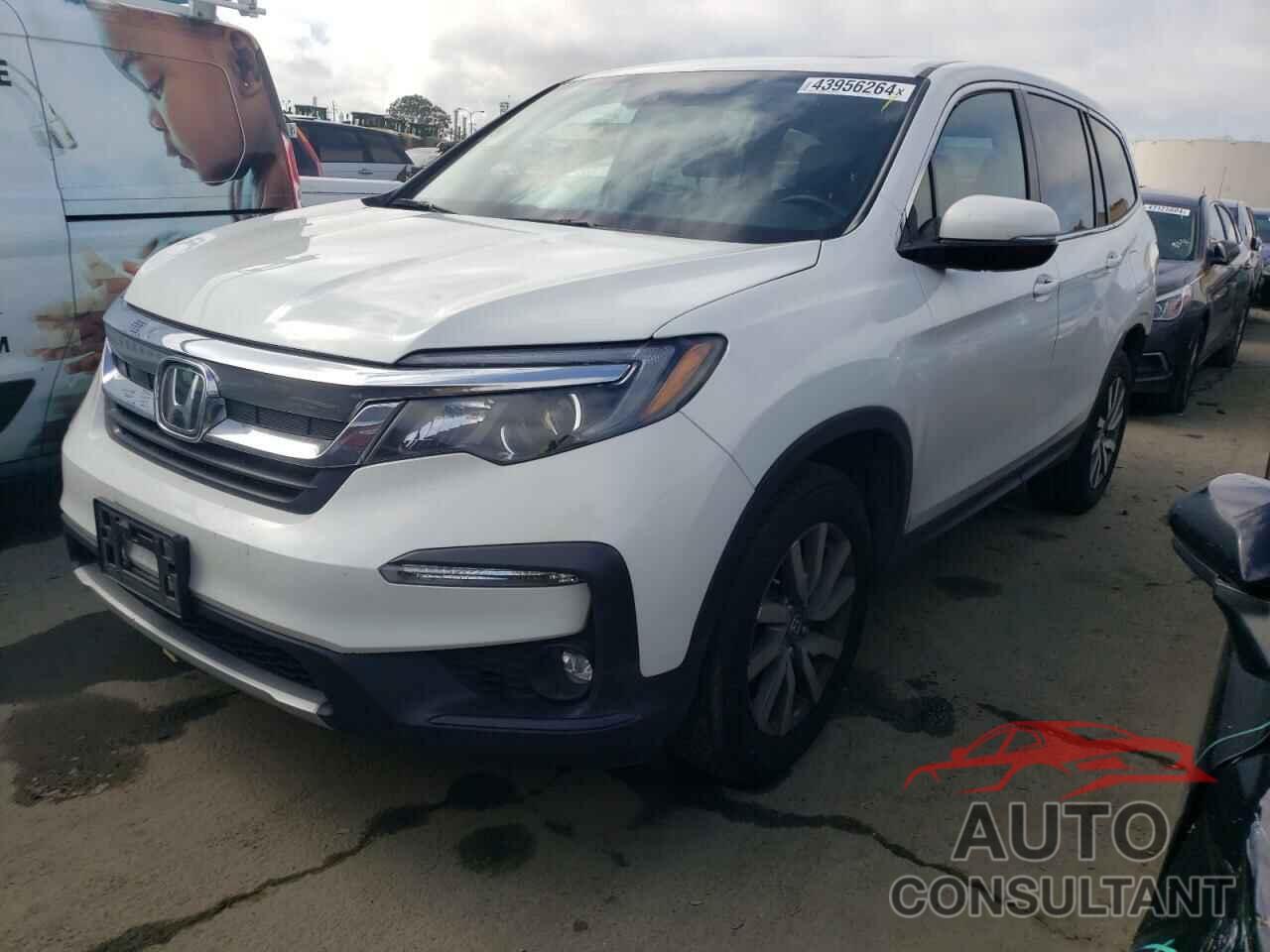 HONDA PILOT 2021 - 5FNYF5H52MB039310