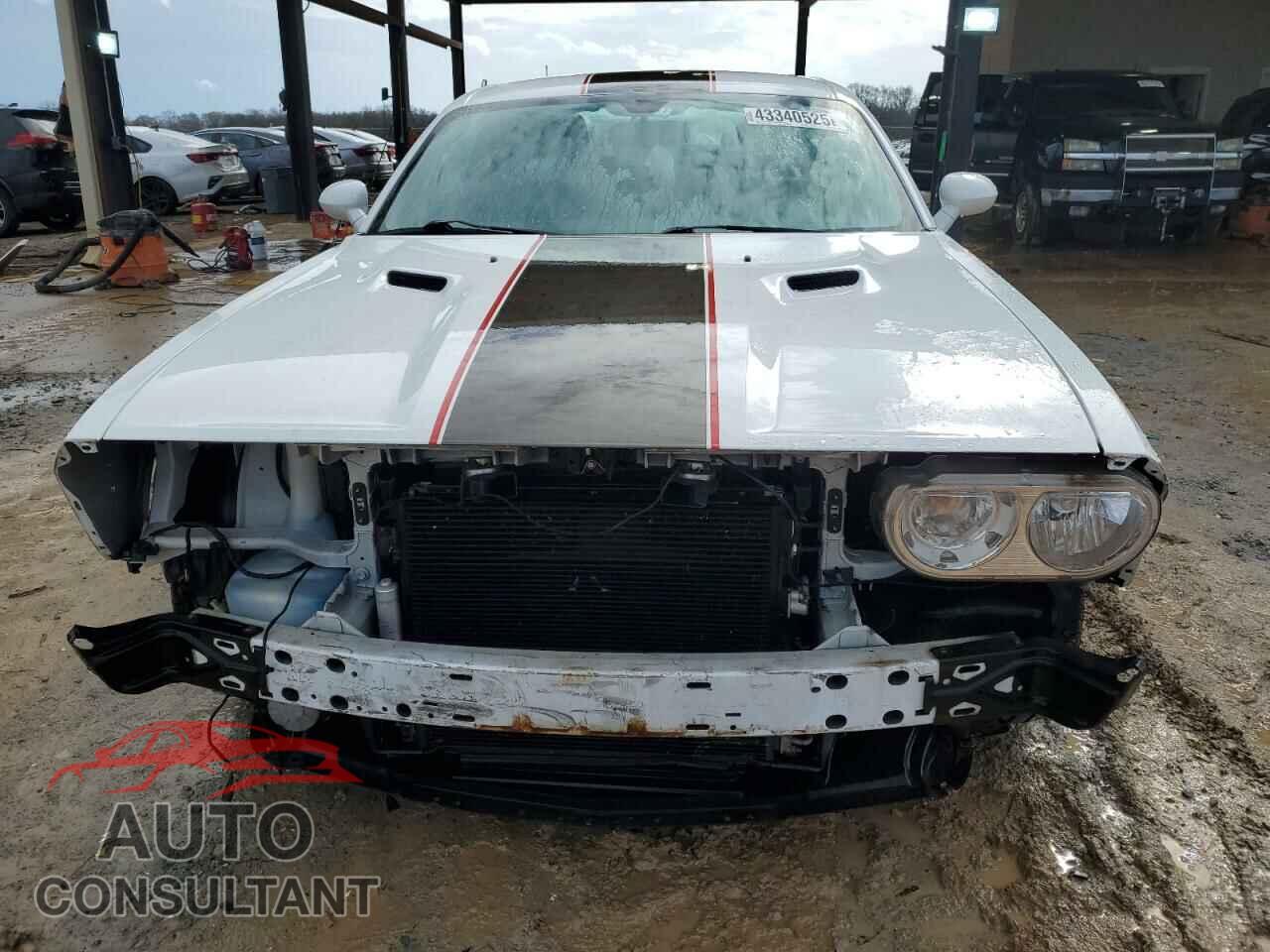 DODGE CHALLENGER 2013 - 2C3CDYAG6DH540177