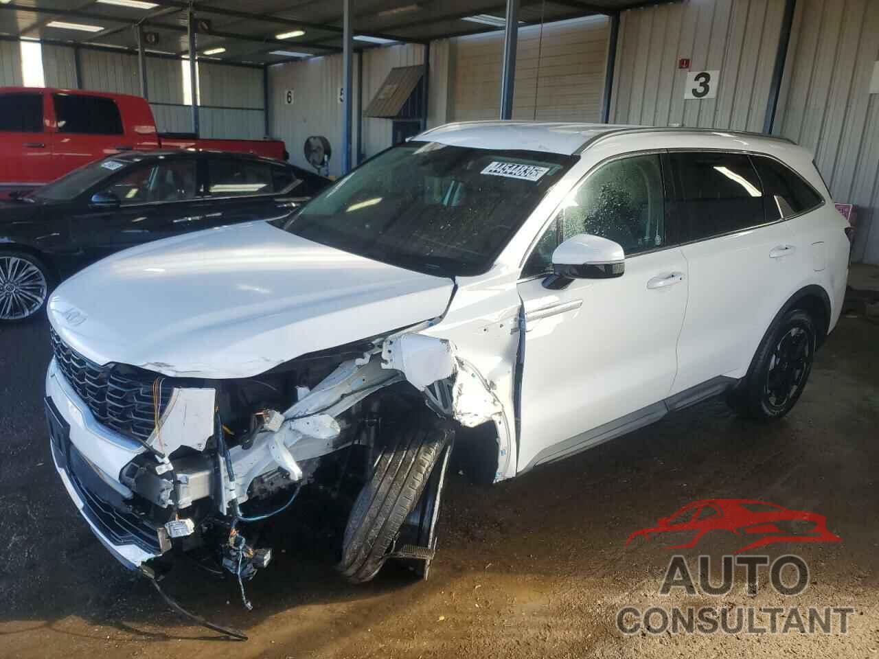 KIA SORENTO 2024 - 5XYRLDJC8RG268283