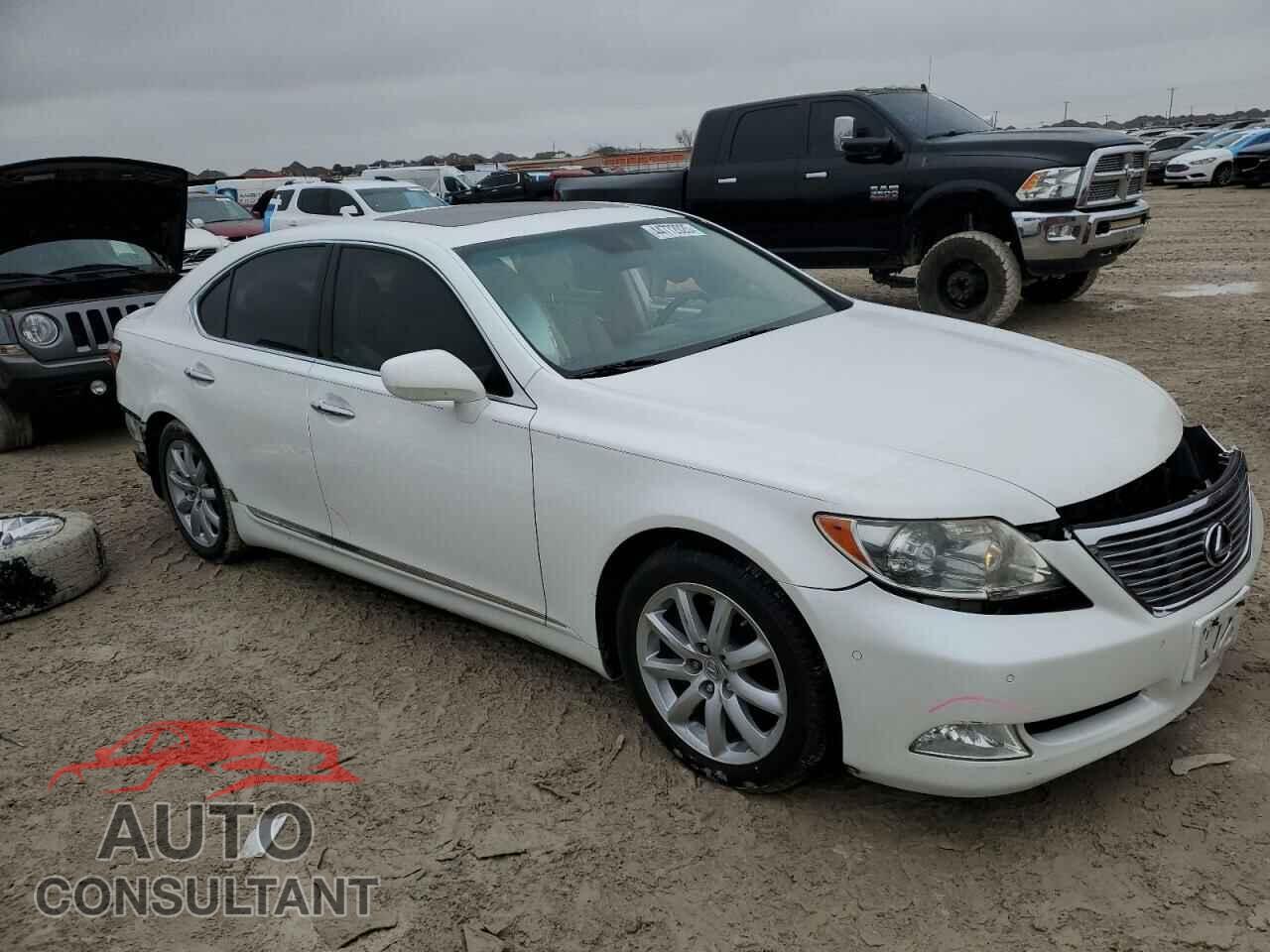 LEXUS LS460 2009 - JTHBL46F895086871