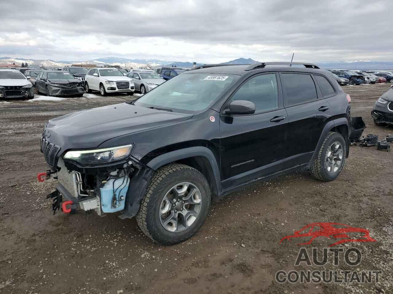 JEEP CHEROKEE 2019 - 1C4PJMBX2KD462634