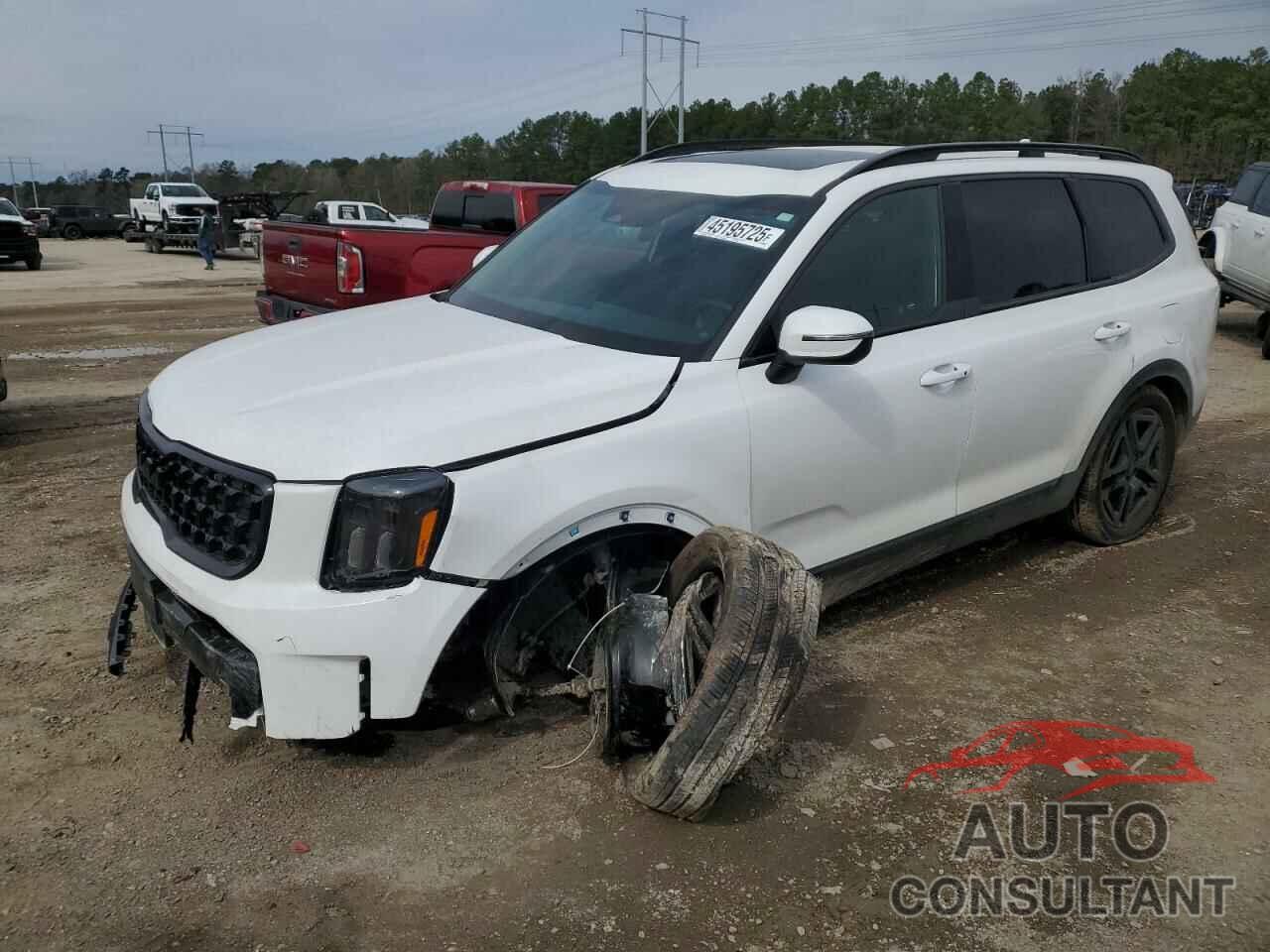 KIA TELLURIDE 2025 - 5XYP3DGC6SG574239